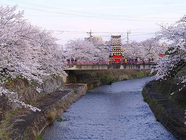 日本‧犬山祭(下)‧遊行與夜車山(Inuyama Matsu