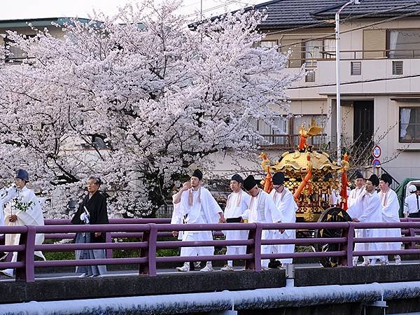 日本‧犬山祭(下)‧遊行與夜車山(Inuyama Matsu