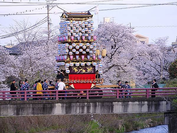 日本‧犬山祭(下)‧遊行與夜車山(Inuyama Matsu