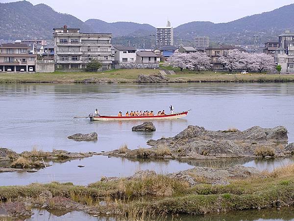 日本‧犬山‧賞櫻(Inuyama Cherry Blosso