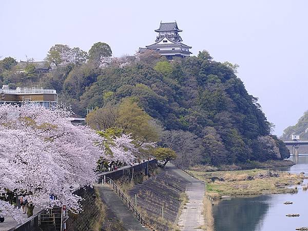 日本‧犬山‧賞櫻(Inuyama Cherry Blosso