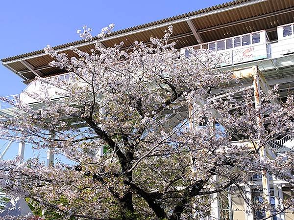 日本‧名古屋(十六)‧東山動植物園(下)‧其他(Nagoya