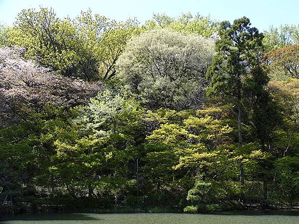 日本‧名古屋(十六)‧東山動植物園(下)‧其他(Nagoya