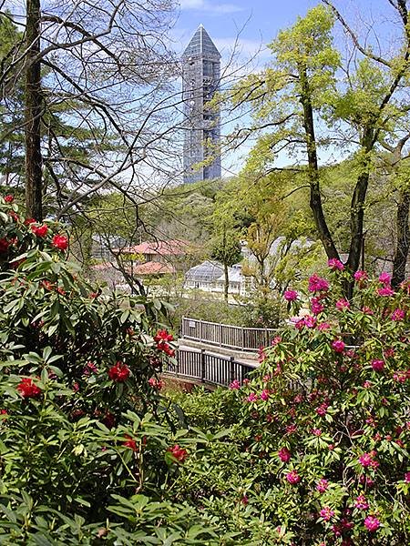 日本‧名古屋(十六)‧東山動植物園(下)‧其他(Nagoya