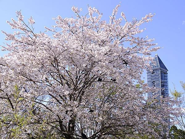 日本‧名古屋(十六)‧東山動植物園(下)‧其他(Nagoya