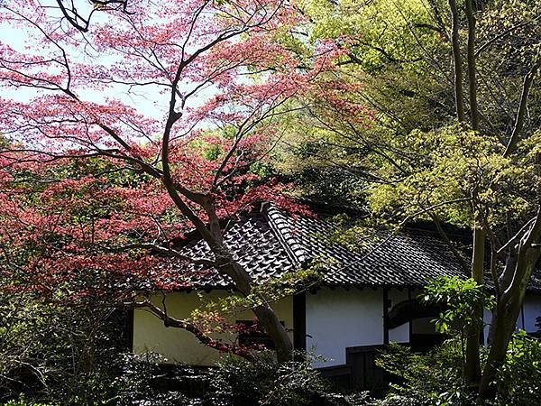 日本‧名古屋(十六)‧東山動植物園(下)‧其他(Nagoya