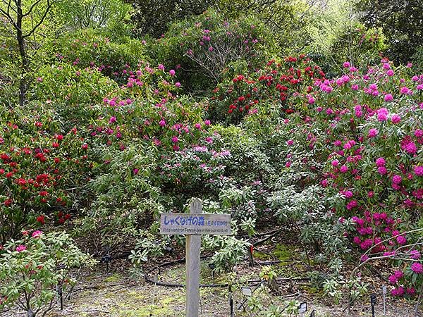 日本‧名古屋(十六)‧東山動植物園(下)‧其他(Nagoya