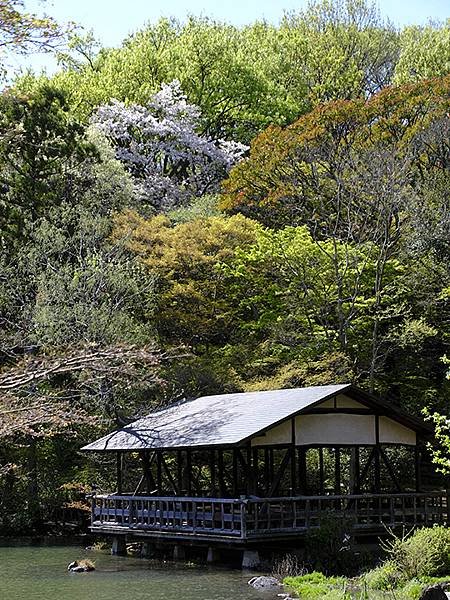 日本‧名古屋(十六)‧東山動植物園(下)‧其他(Nagoya