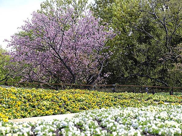 日本‧名古屋(十六)‧東山動植物園(下)‧其他(Nagoya