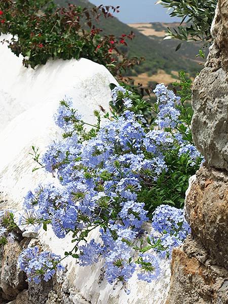 希臘跳島(三十八)‧帕特莫斯島(下)‧主鎮(Patmos I