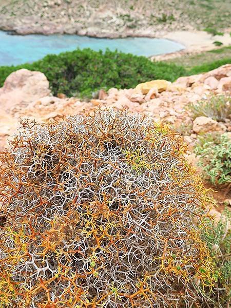 希臘跳島(四十三)‧卡林諾斯島(下)‧泰倫佐斯島(Kalym