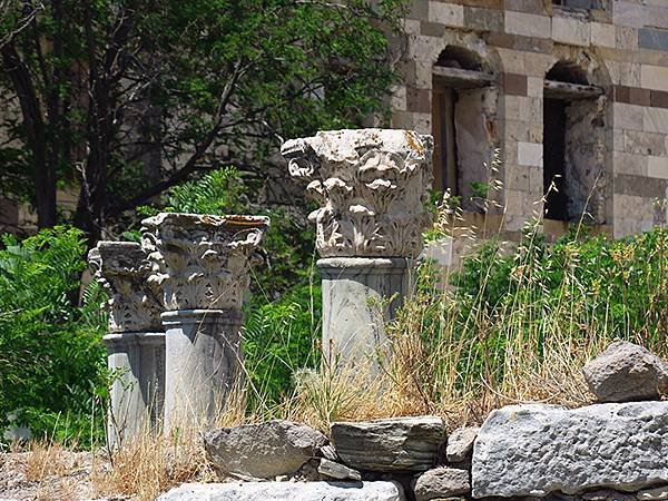 希臘跳島(四十四)‧科斯島(上)‧主鎮(Kos I)