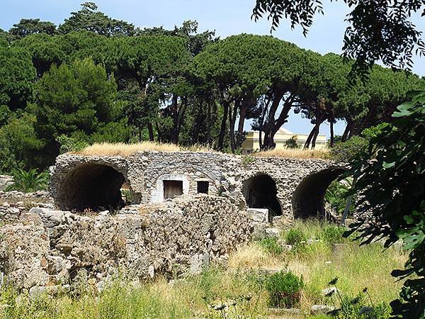 希臘跳島(四十四)‧科斯島(上)‧主鎮(Kos I)