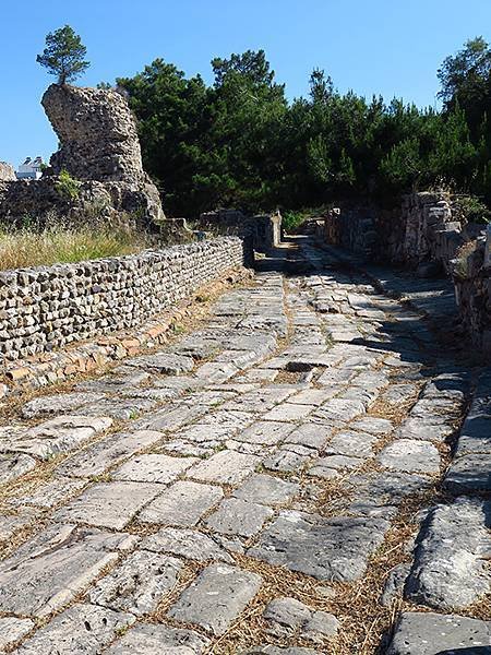 希臘跳島(四十四)‧科斯島(上)‧主鎮(Kos I)