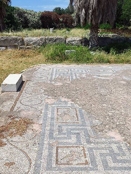 希臘跳島(四十四)‧科斯島(上)‧主鎮(Kos I)