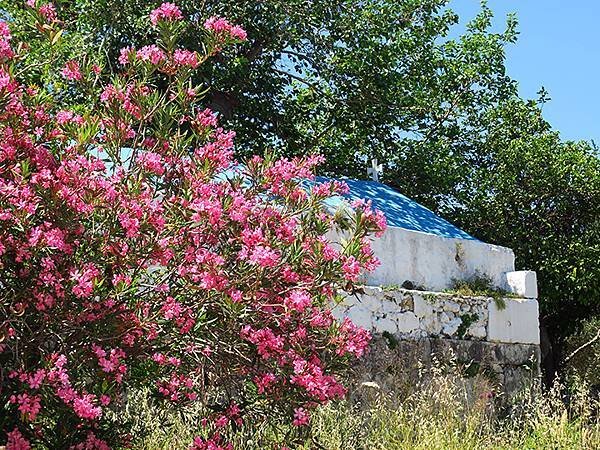 希臘跳島(四十六)‧科斯島(下)‧皮利和蒂加基(Kos II