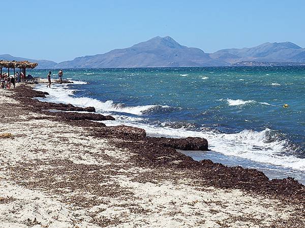 希臘跳島(四十六)‧科斯島(下)‧皮利和蒂加基(Kos II