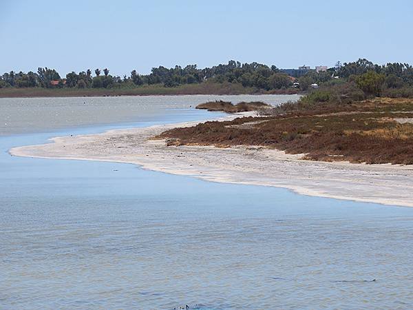 希臘跳島(四十六)‧科斯島(下)‧皮利和蒂加基(Kos II