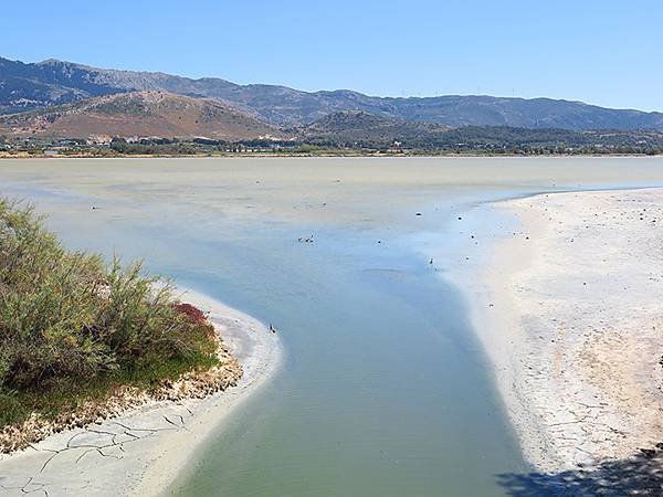 希臘跳島(四十六)‧科斯島(下)‧皮利和蒂加基(Kos II