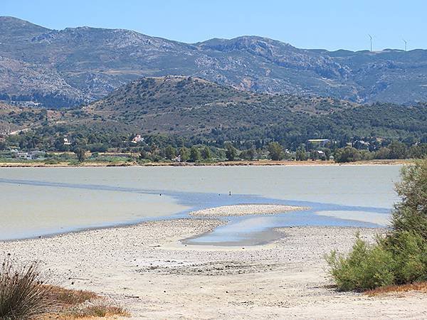 希臘跳島(四十六)‧科斯島(下)‧皮利和蒂加基(Kos II