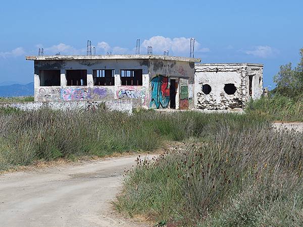 希臘跳島(四十六)‧科斯島(下)‧皮利和蒂加基(Kos II