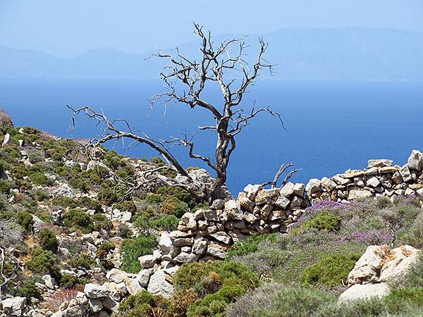 希臘跳島(五十六)‧蒂洛斯島(上)‧吉拉廢村(Tilos I