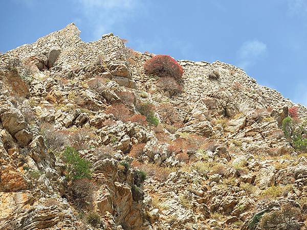 希臘跳島(五十八)‧蒂洛斯島(下)‧大村和城堡(Tilos 