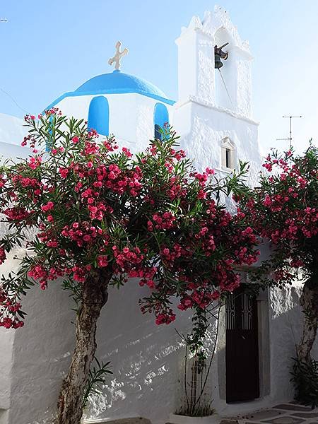 希臘跳島(六十一)‧帕羅斯島(上)‧主鎮重遊(Paros I