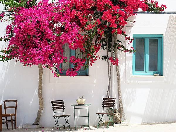 希臘跳島(六十二)‧帕羅斯島(下)‧拜占庭之路(Paros 