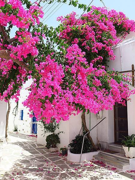 希臘跳島(六十二)‧帕羅斯島(下)‧拜占庭之路(Paros 