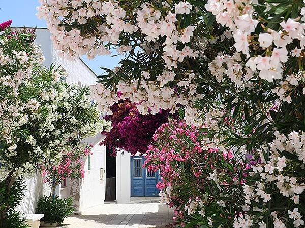 希臘跳島(六十四)‧蒂諾斯島(中)‧皮爾戈斯(Tinos I