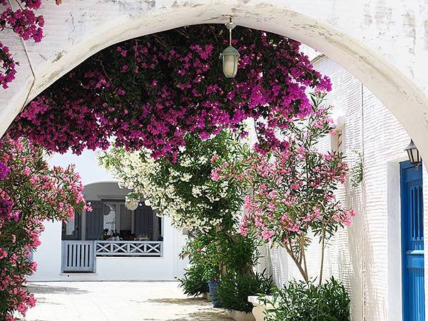 希臘跳島(六十四)‧蒂諾斯島(中)‧皮爾戈斯(Tinos I