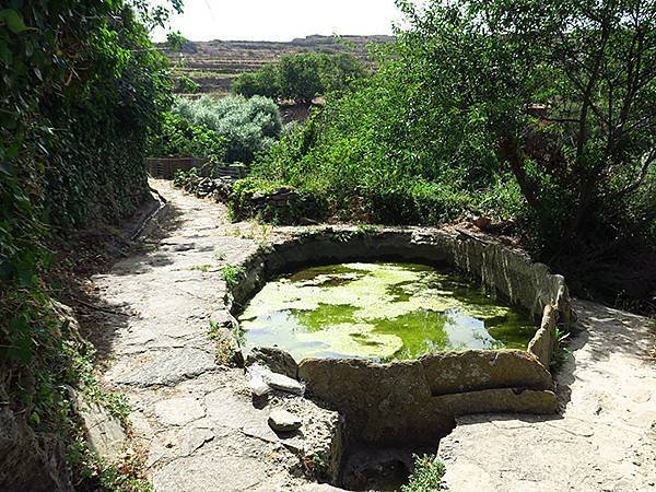 希臘跳島(六十五)‧蒂諾斯島(下)‧鴿舍健行(Tinos I