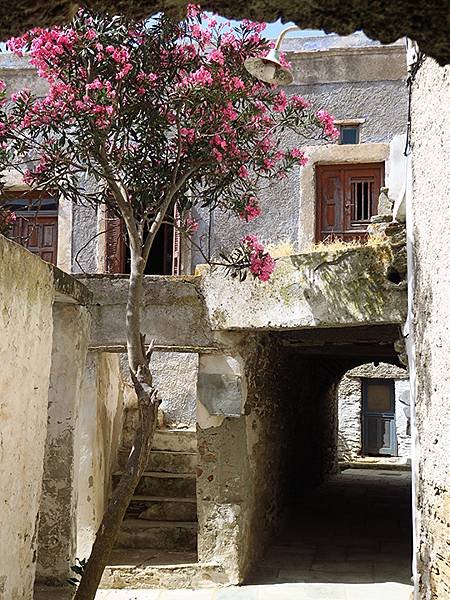 希臘跳島(六十五)‧蒂諾斯島(下)‧鴿舍健行(Tinos I