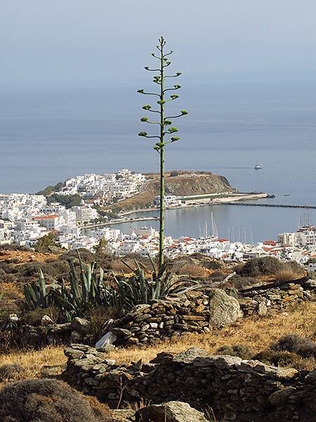 希臘跳島(六十五)‧蒂諾斯島(下)‧鴿舍健行(Tinos I