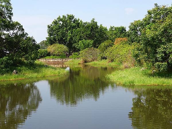 台灣‧台中(三十三)‧台中都會公園賞鳥(Taichung M