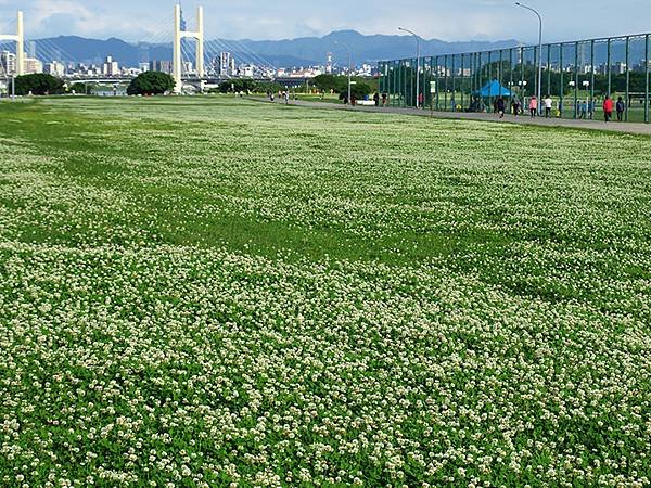 台灣‧蘆洲到八里騎行(上)‧五股溼地(Wugu Wetlan