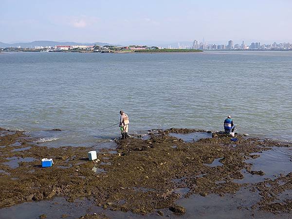 台灣‧蘆洲到八里騎行(上)‧五股溼地(Wugu Wetlan