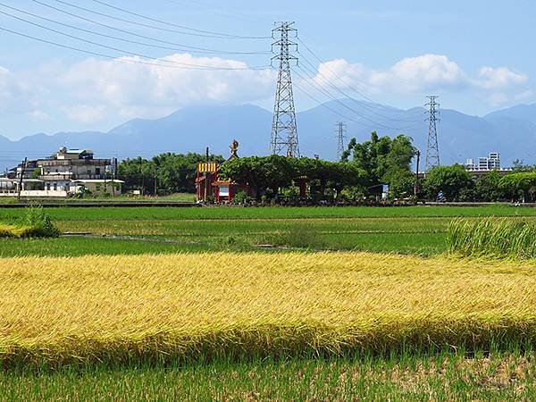 台灣‧宜蘭(二十六)‧武暖石板橋和羅東林場花嘴鴨(Yilan