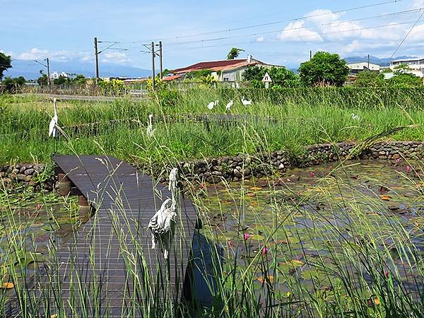 台灣‧宜蘭(二十六)‧武暖石板橋和羅東林場花嘴鴨(Yilan