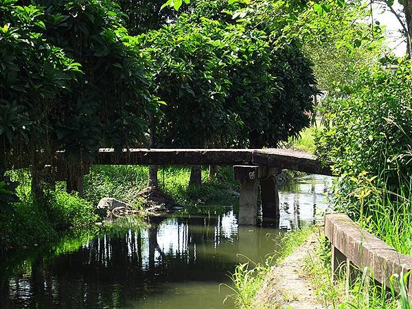 台灣‧宜蘭(二十六)‧武暖石板橋和羅東林場花嘴鴨(Yilan