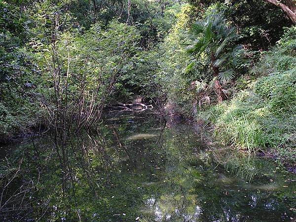 日本‧東京‧葛西臨海公園(Kasai Rinkai Park