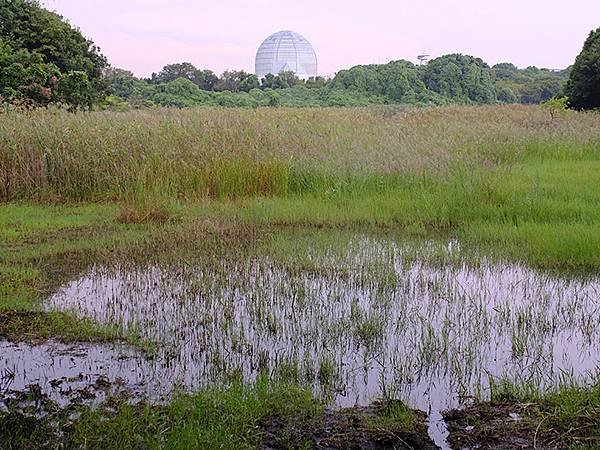 日本‧東京‧葛西臨海公園(Kasai Rinkai Park