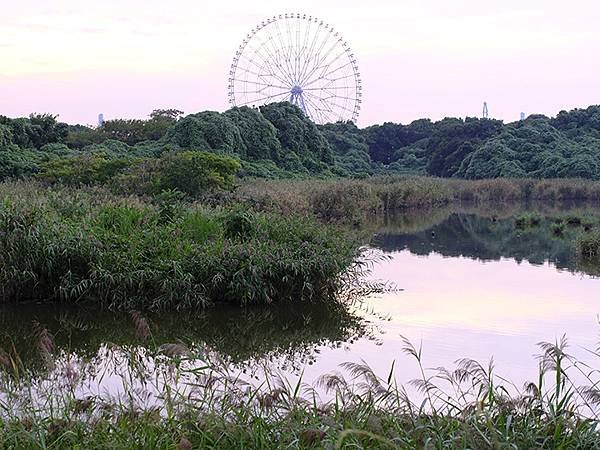 日本‧東京‧葛西臨海公園(Kasai Rinkai Park