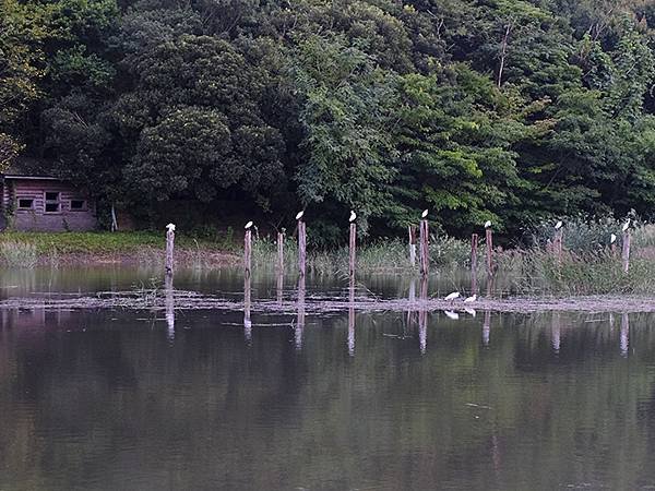 日本‧東京‧葛西臨海公園(Kasai Rinkai Park