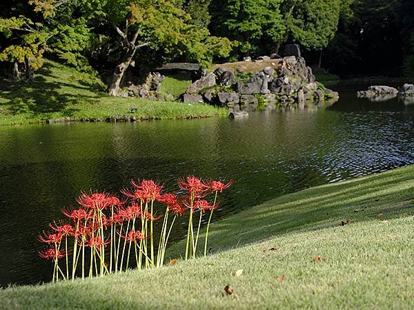 日本‧東京‧巨蛋和小石川後樂園(Koishikawa Kor