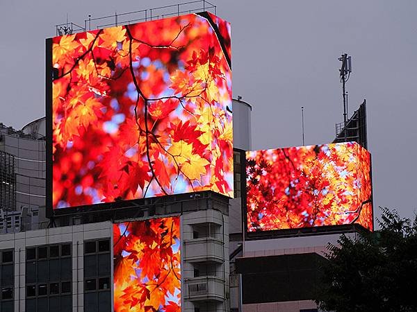 日本‧東京‧澀谷(Shibuya)