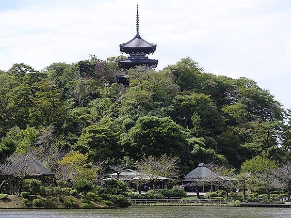 東京近郊(二十二)‧橫濱(上)‧三溪園(Yokohama I