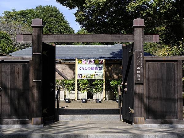 東京近郊(二十四)‧佐倉城址公園(Sakurajoshi P