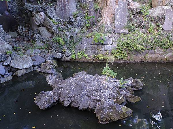 東京近郊(二十五)‧成田山新勝寺(Narita)